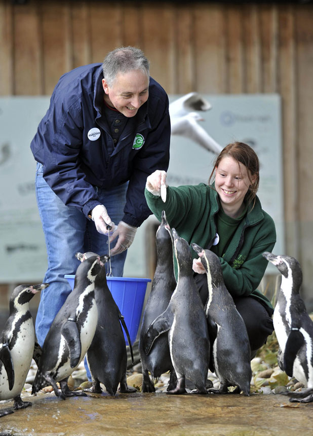 LinkedIn launches first global Bring In Your Parents Day at ZSL London Zoo, 7 November 2013