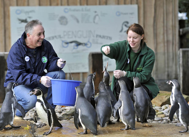 LinkedIn launches first global Bring In Your Parents Day at ZSL London Zoo, 7 November 2013