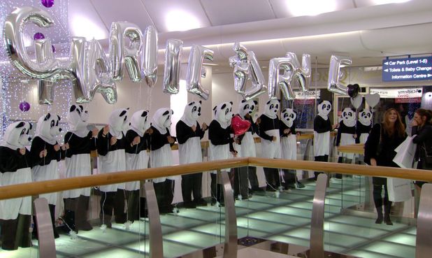 panda-flashmob.jpg (618×369)