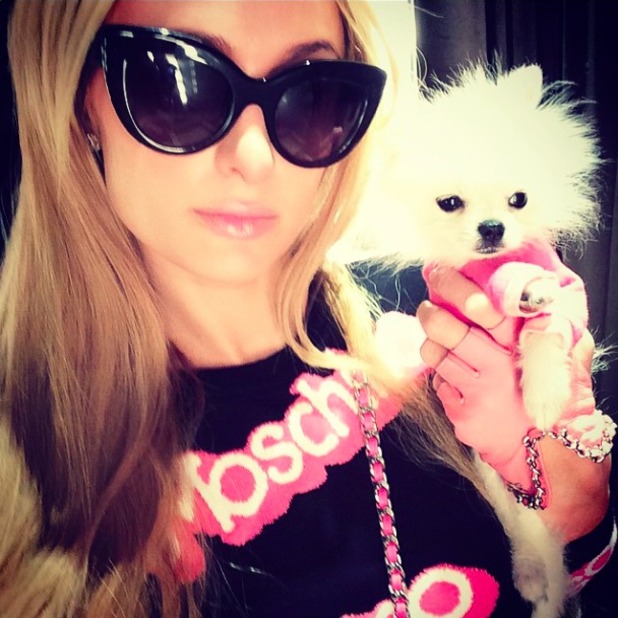 Paris Hilton Flashes Toned Tum In Barbie Inspired Moschino Outfit Celebrity News News Reveal